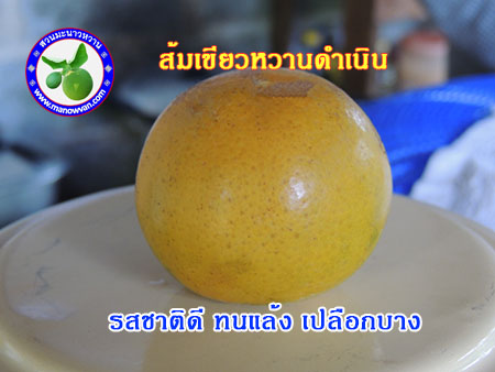 ส้มดำเนิน