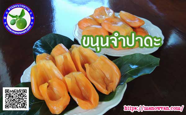 ขนุนจำปาดะ